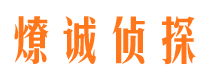 从化市调查公司